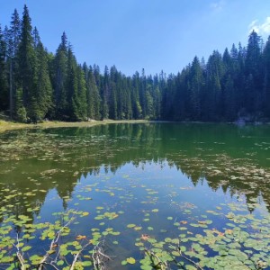 Le parc national du Durmitor ⛰️ 🇲🇪.#montenegro #landscape #durmitor